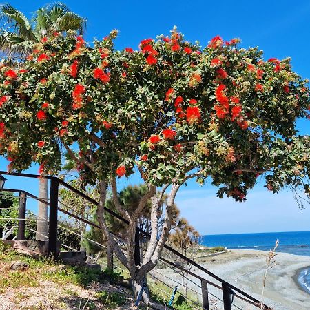 Astrofegia Beachfront Villa Pomos Buitenkant foto