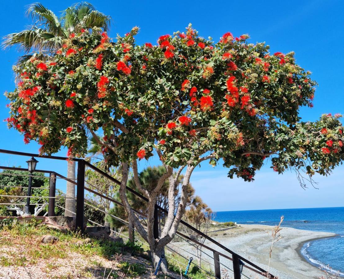 Astrofegia Beachfront Villa Pomos Buitenkant foto