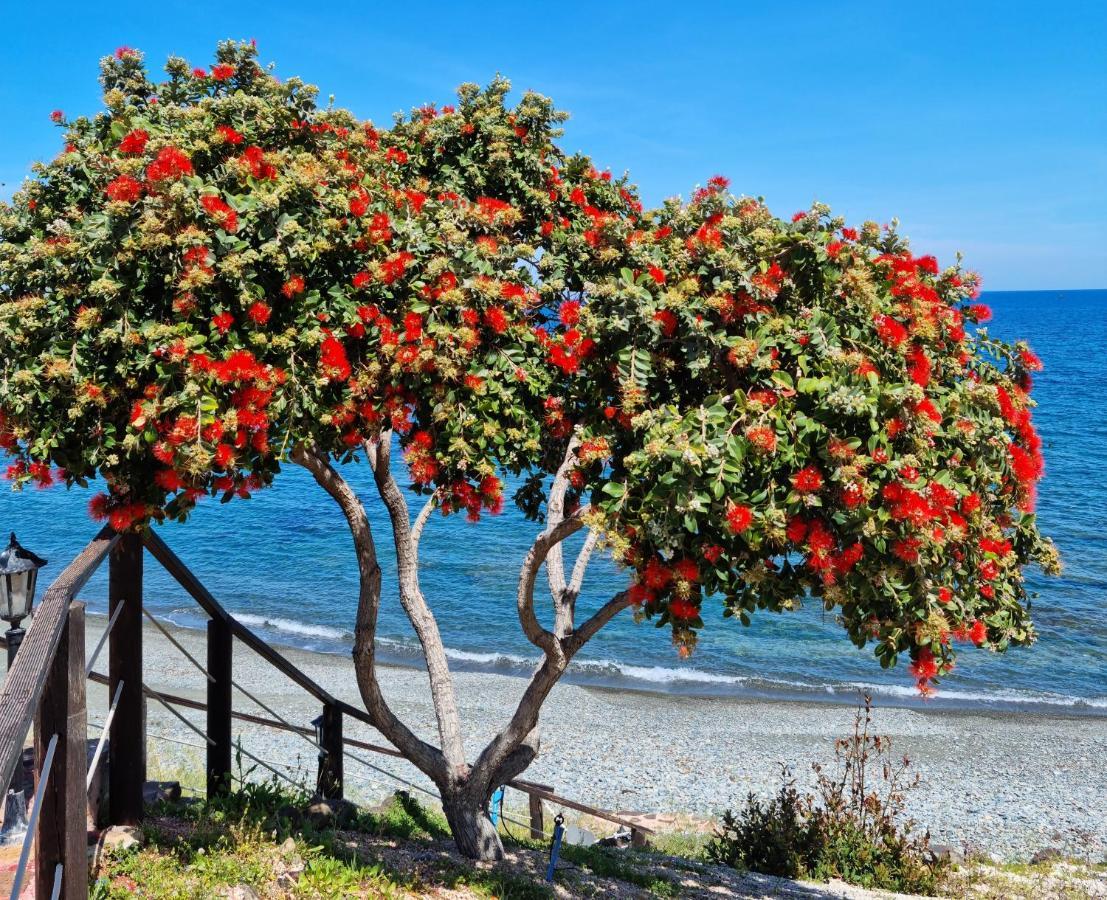 Astrofegia Beachfront Villa Pomos Buitenkant foto
